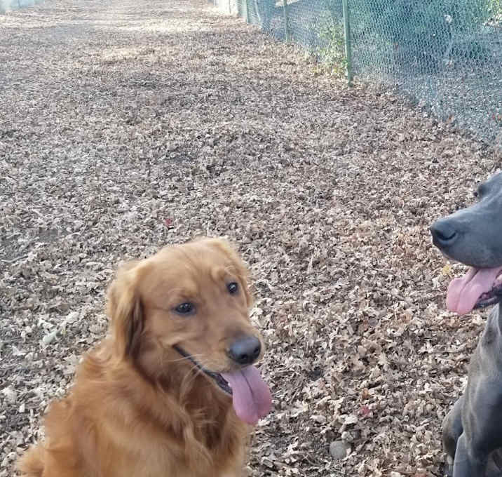 Photo of Adam & Bubba