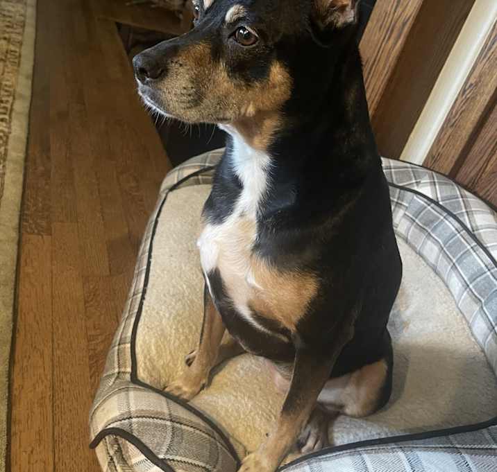Photo of Lola
