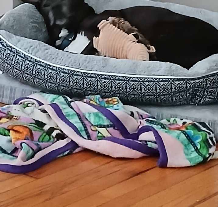Photo of Maggie