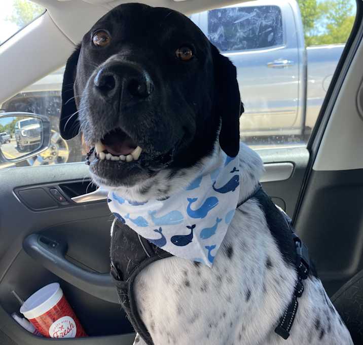 Photo of Tex