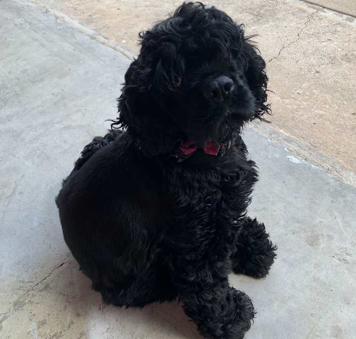 Photo of Arya