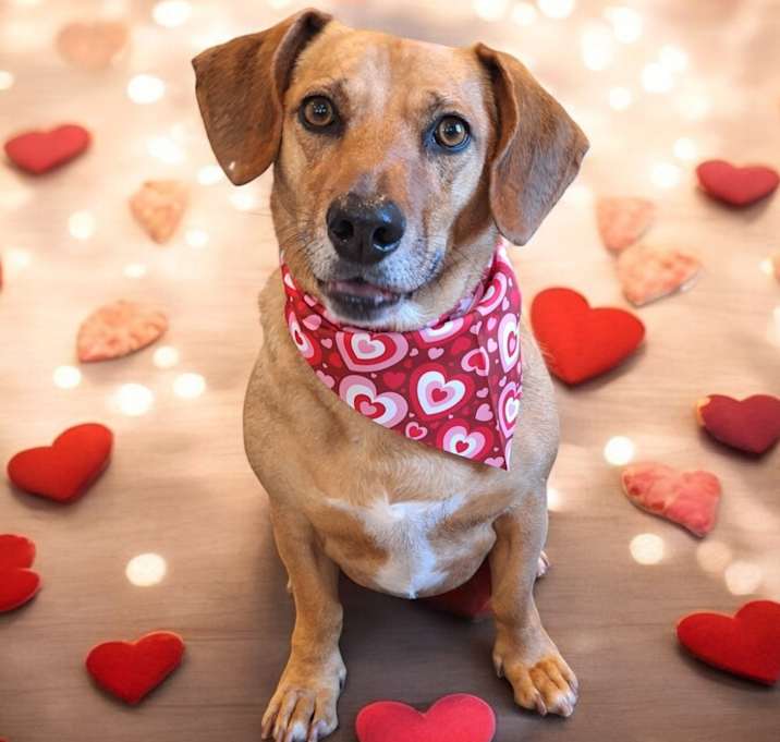 Photo of Gus