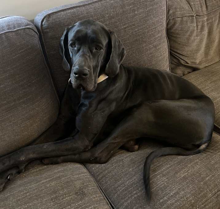 Photo of Dottie