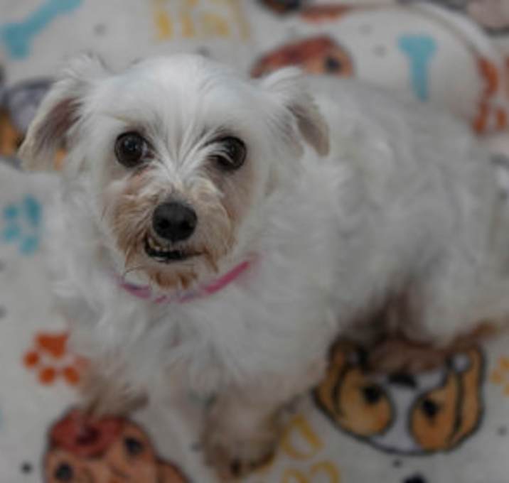 Photo of Faith
