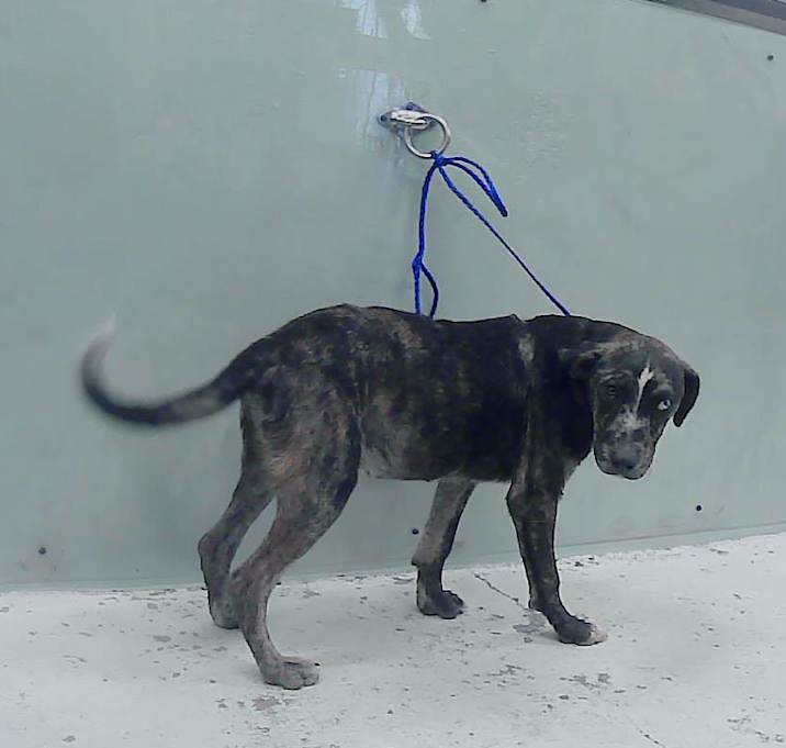 Photo of ZEUS