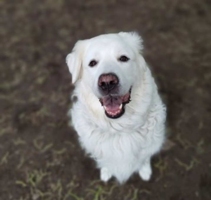 Photo of Lily
