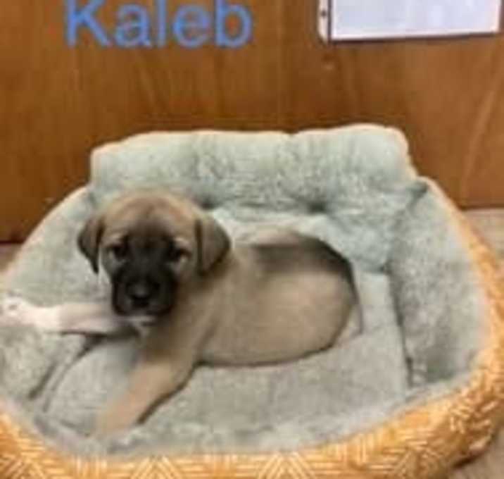 Photo of Kaleb