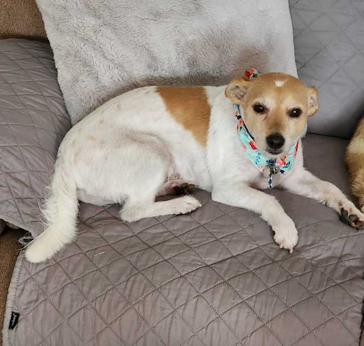 Photo of Teddy