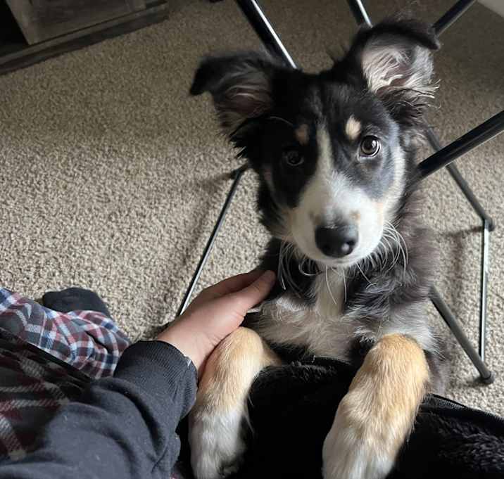 Photo of Maya
