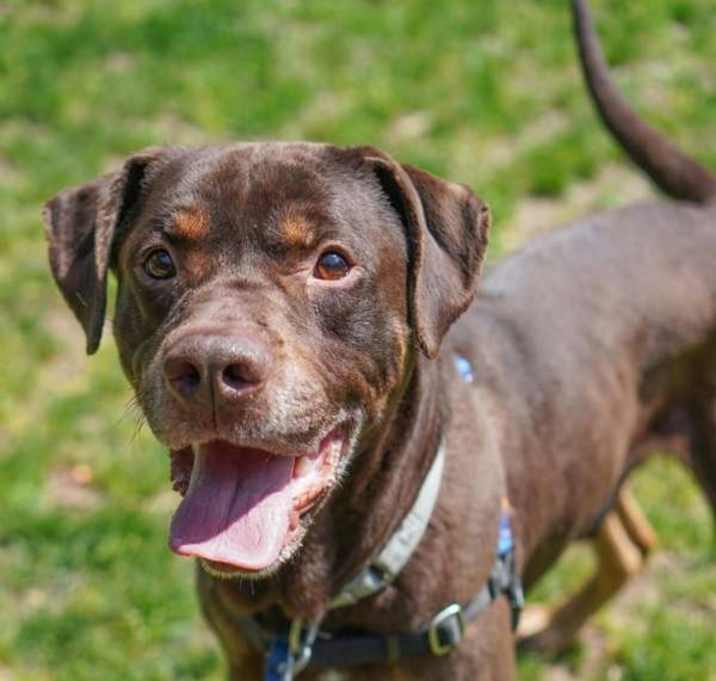 Photo of Toker