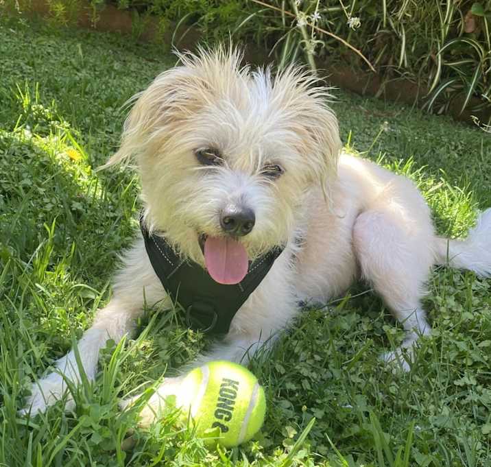 Photo of Sebastian