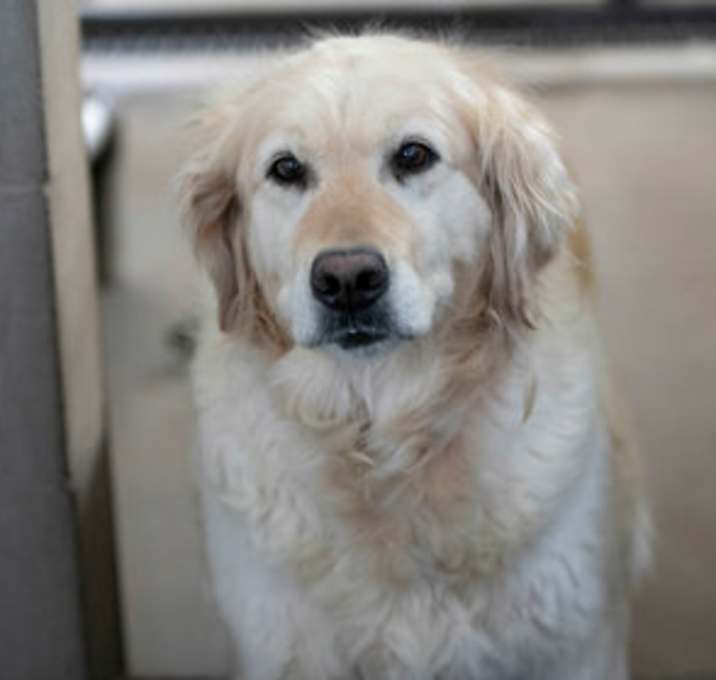 Photo of Glenda