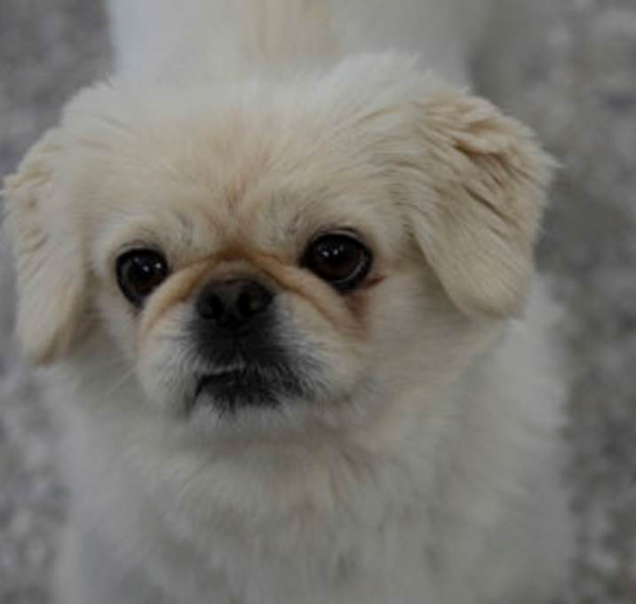 Photo of Stacey