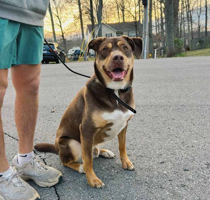 Photo of Bleu