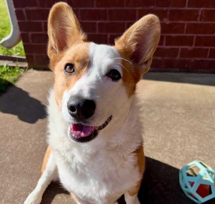 Photo of Benny