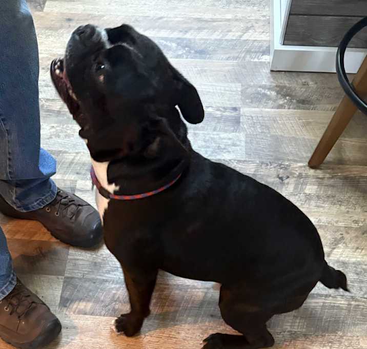 Photo of Polo
