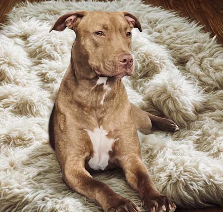 Photo of Ruby