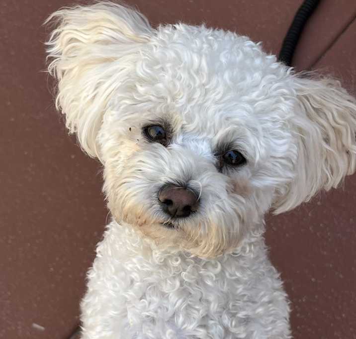Photo of Molly