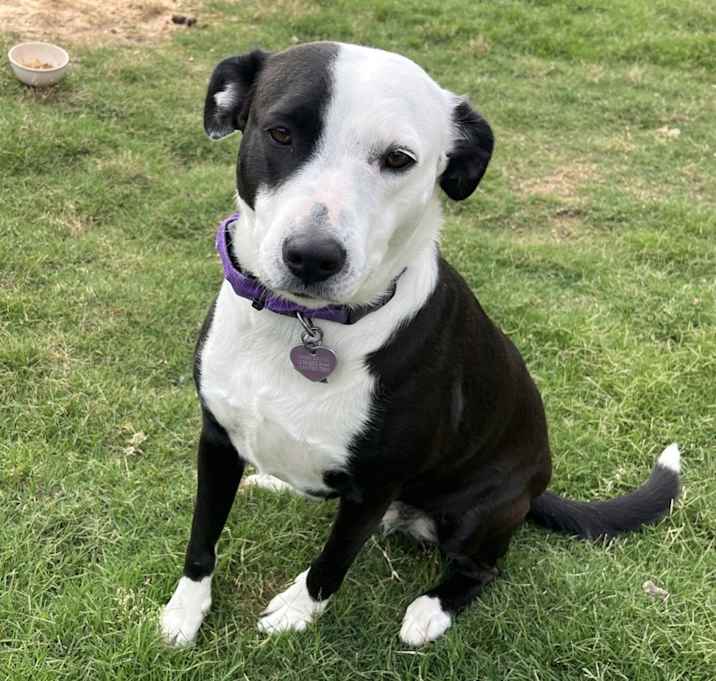 Photo of Remmie