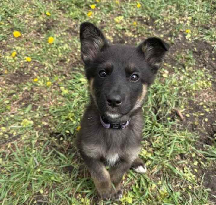 Photo of Fiona