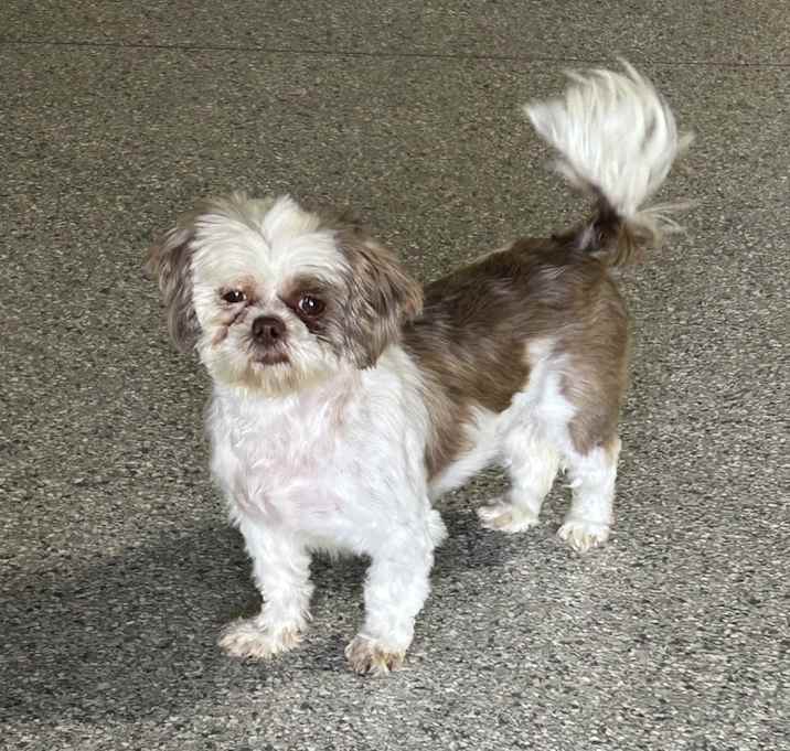 Photo of Lori 11 lbs