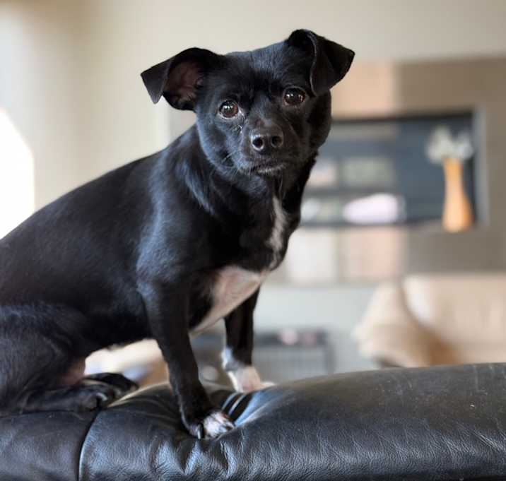 Photo of Candy