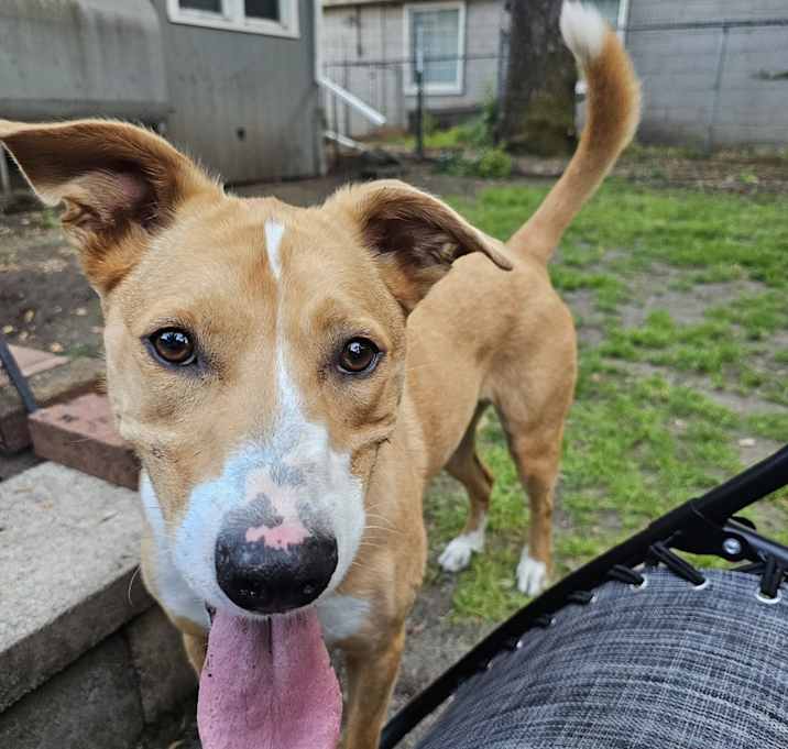 Photo of Luna