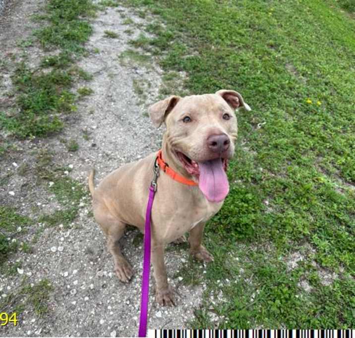 Photo of ZEUS