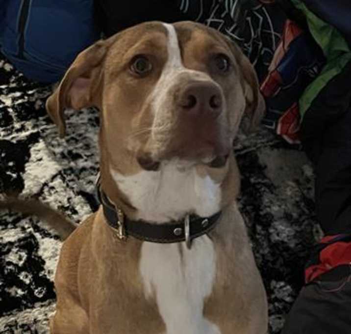 Photo of CHARLIE