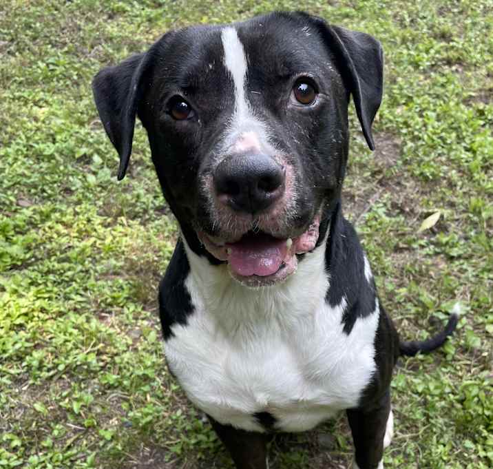 Photo of Max
