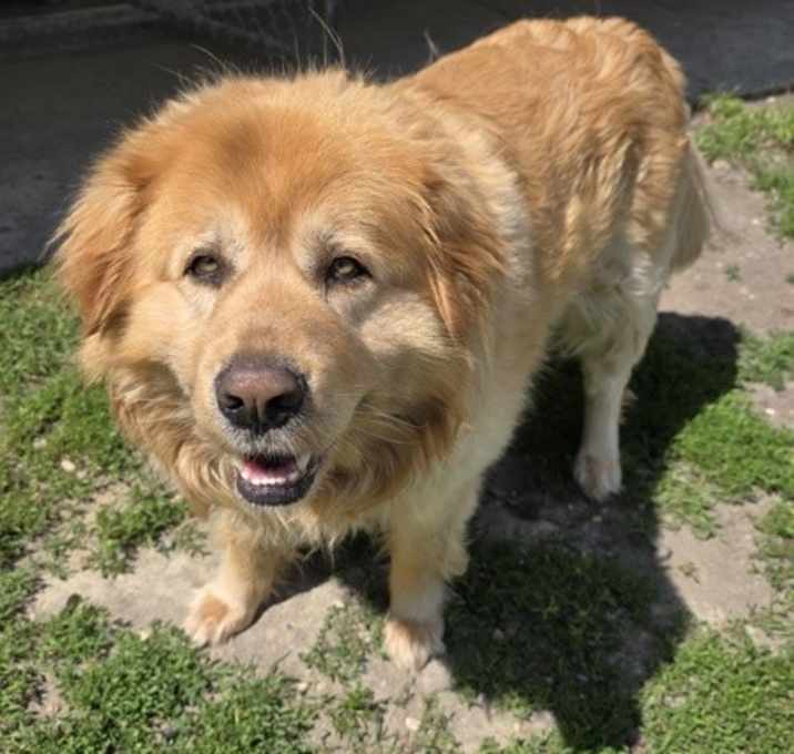 Photo of Champ