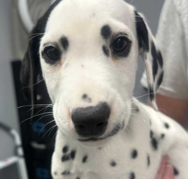Photo of Riff