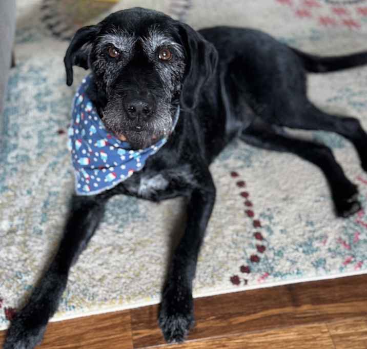 Photo of Sable