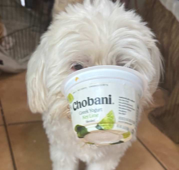 Photo of Popcorn prev Mellow SP