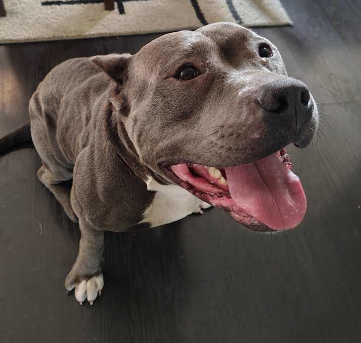Photo of Prada