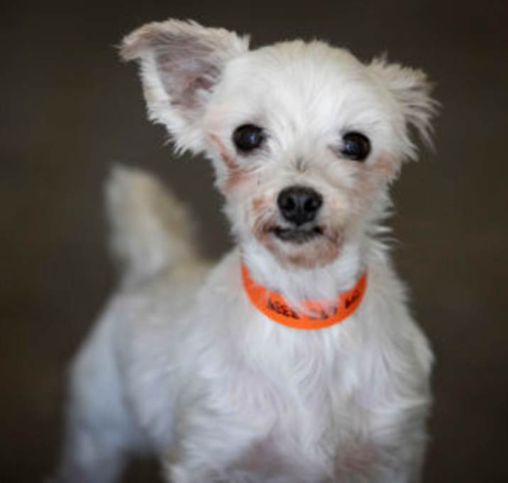 Photo of Gumbo