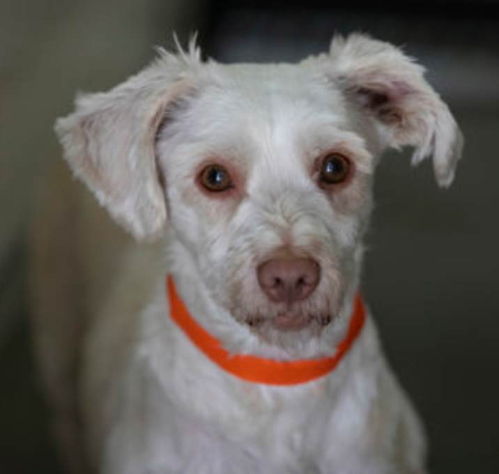 Photo of Missy