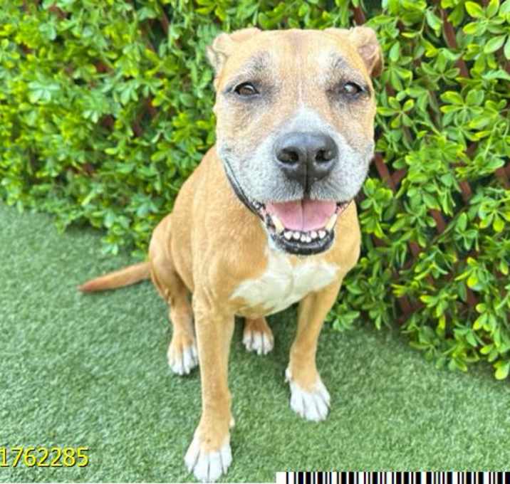 Photo of ROXY