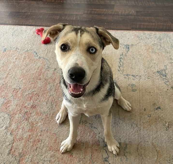 Photo of Lola