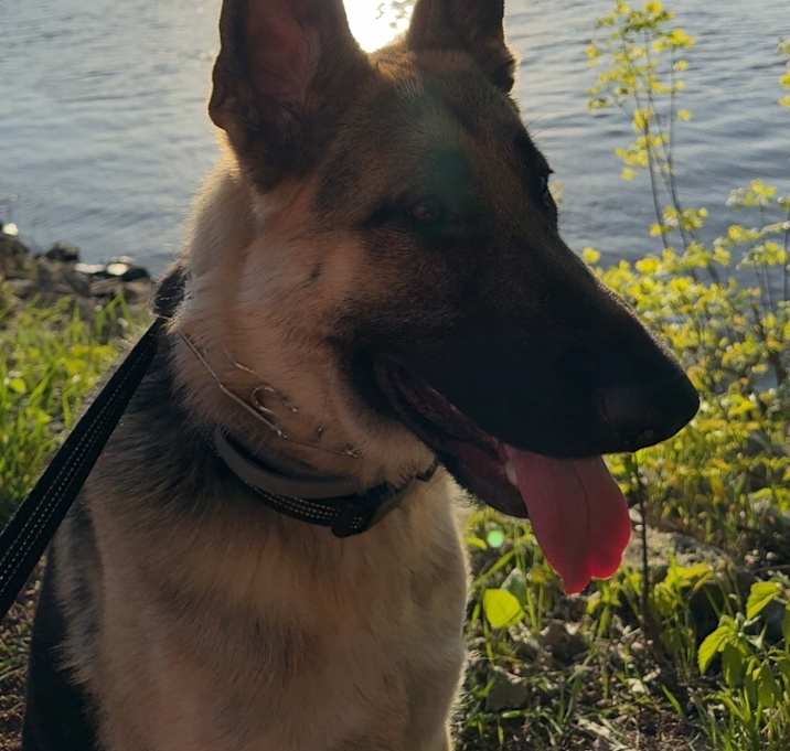 Photo of Zeke