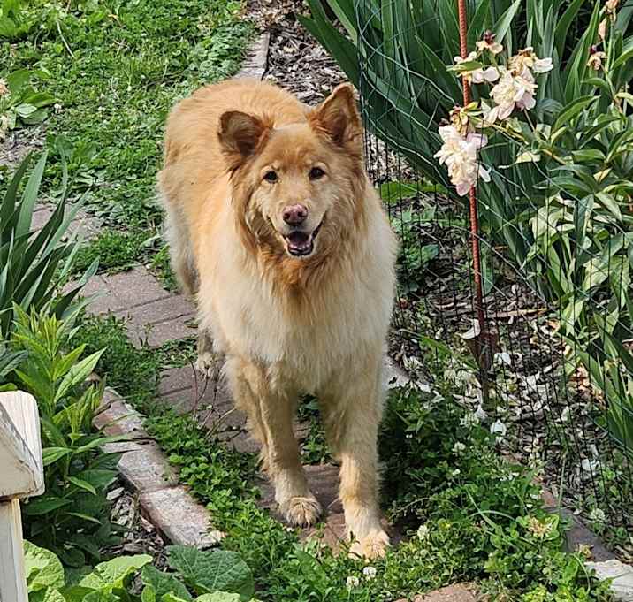 Photo of Honey