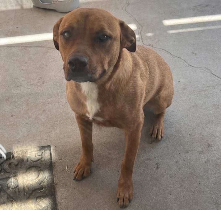 Photo of Mac