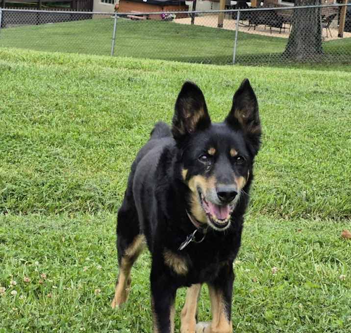 Photo of Max