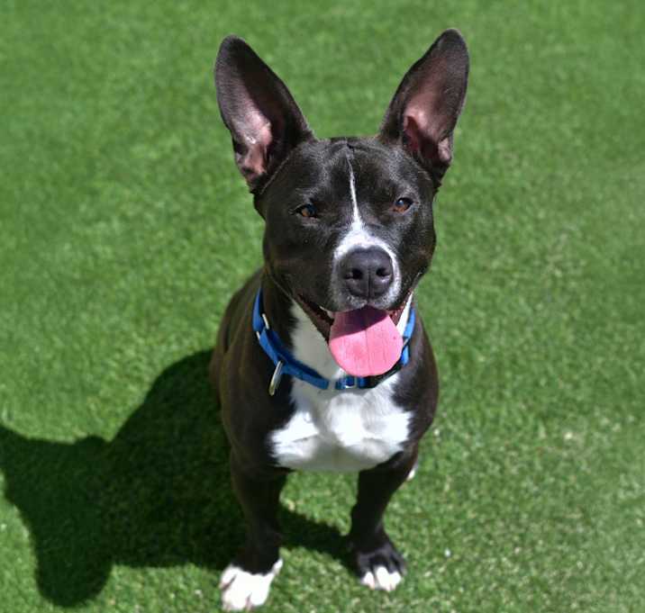 Photo of Deke