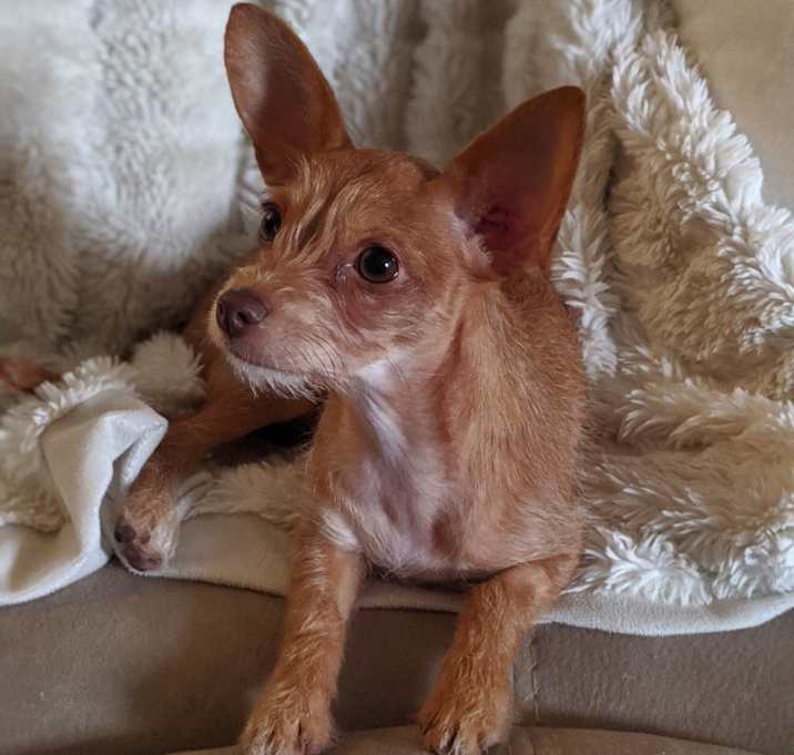 Photo of Midna
