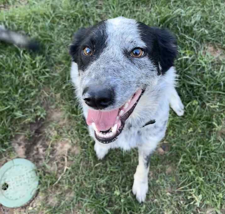 Photo of Sugar