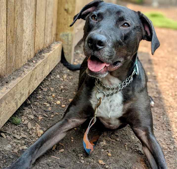 Photo of Mack