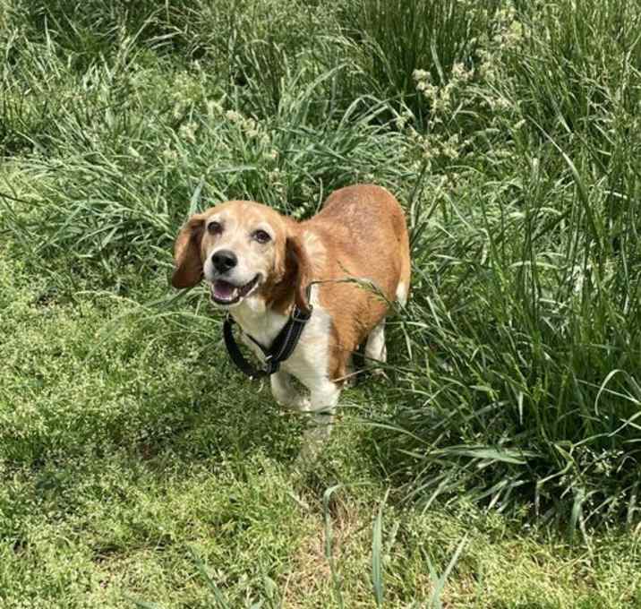 Photo of Frieda