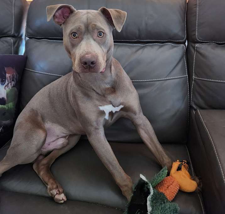 Photo of Booker