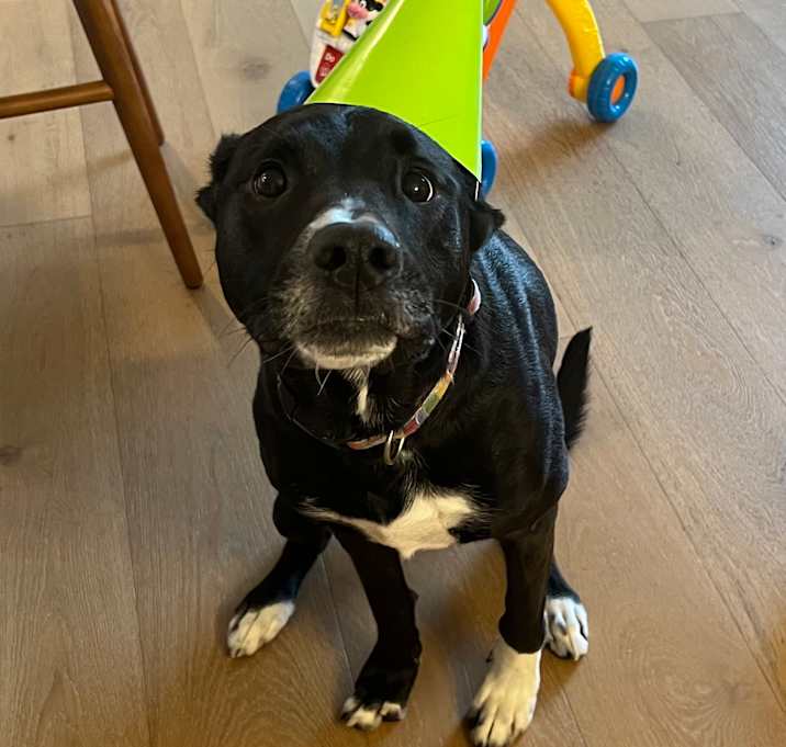 Photo of Ripley